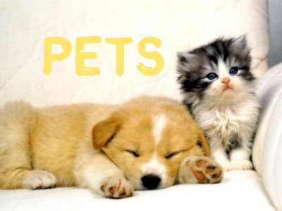 pets